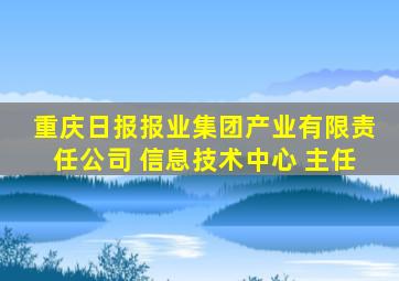 重庆日报报业集团产业有限责任公司 信息技术中心 主任